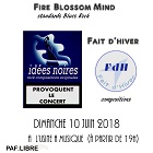 Idées Noires / Fire Blossom Mind / Faits D'Hiver